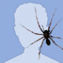 PeriklFemidi__Std_005.jpg